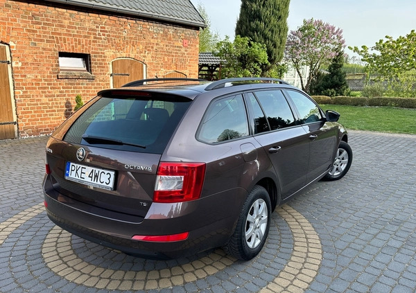 Skoda Octavia cena 33900 przebieg: 180000, rok produkcji 2013 z Nowy Wiśnicz małe 497